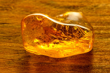 Image showing Amber with embedded insect