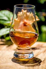 Image showing Whisky with sun shadow