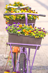 Image showing bicycle with flowers