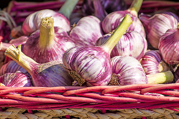 Image showing red garlic on a street sale in France