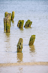 Image showing Groins in the Baltic Sea 