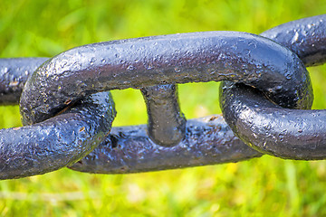 Image showing anchor chain in green grass