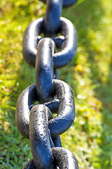 Image showing anchor chain in green grass