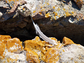 Image showing Bridge between rocks