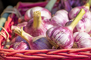 Image showing red garlic on a street sale in France