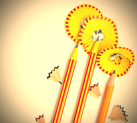 Image showing three pencil flowers