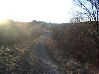 Image showing Old road