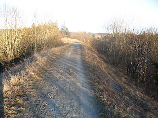 Image showing Old road