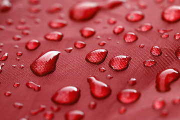 Image showing Closeup of rain drops 