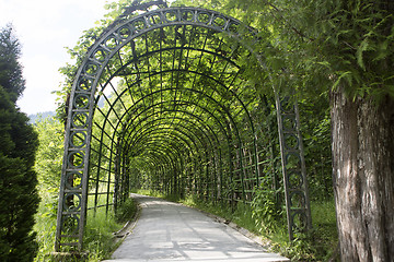 Image showing Alley of castle park Linderhof, Bavaria