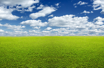 Image showing Green field and sky