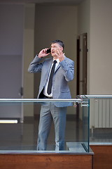 Image showing business man using phone