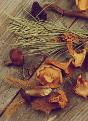 Image showing Dried Mushrooms