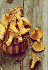 Image showing Raw Chanterelles