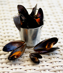 Image showing Mussels