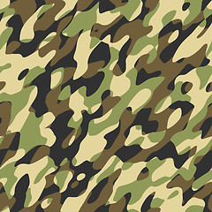 Image showing camouflage