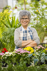 Image showing A day in a green house