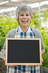 Image showing Elderly woman in a green house