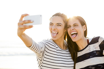 Image showing Best friends taking a selfie