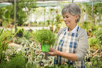 Image showing Choosing fresh herbs