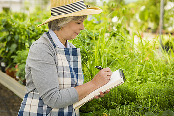 Image showing Working in a greenhouse