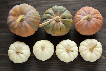 Image showing Squash and pumpkins