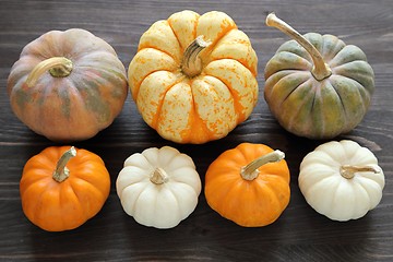 Image showing Squash and pumpkins