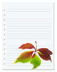 Image showing Exercise book with multicolor virginia creeper leaf