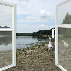 Image showing opened window to the summer river with poultry