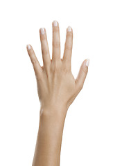 Image showing Hand with beautiful nails