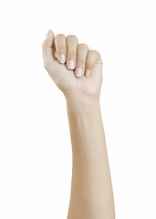 Image showing manicured fingernails
