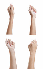 Image showing various women's hands fist