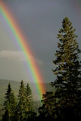 Image showing Rainbow