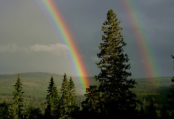 Image showing Rainbows