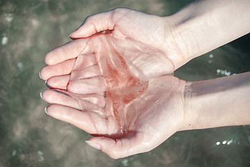 Image showing  jellyfish in women\'s hands