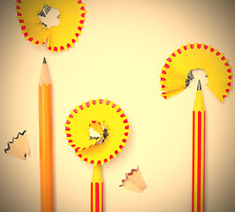 Image showing three pencil flowers