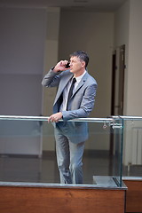 Image showing business man using phone