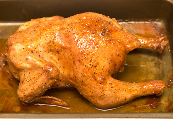 Image showing grilled chicken