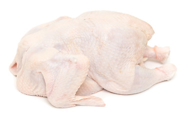 Image showing raw hen