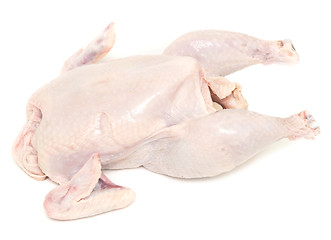 Image showing raw chicken