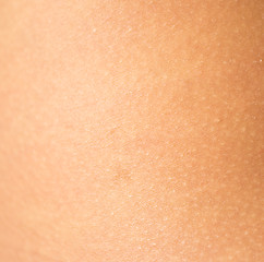 Image showing healthy skin