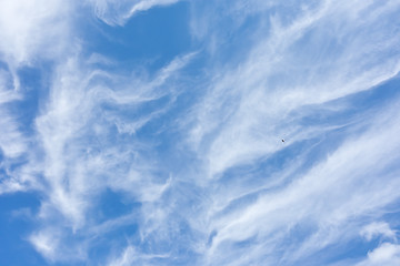 Image showing blue sky