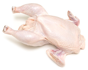 Image showing raw chicken