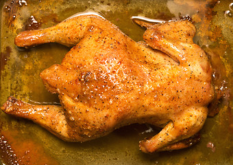 Image showing grilled chicken