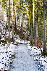 Image showing Frozen path