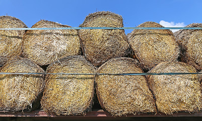 Image showing Round Hay Bales