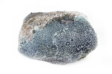 Image showing stone from the mountains tundra on a white background