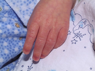 Image showing Newborn Hand