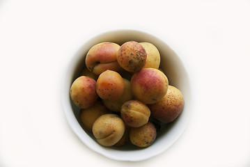 Image showing closeup of ripe apricots 