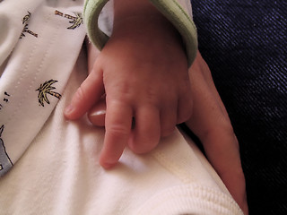 Image showing Baby Hand